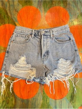 PacSun Vintage High Rise Denim Distressed Womens Jean Shorts Size 26 Destroyed